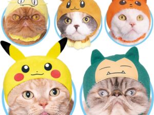 Pokemon Cat Hats