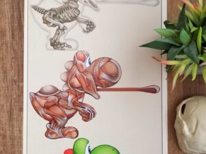 Yoshi Anatomy Poster