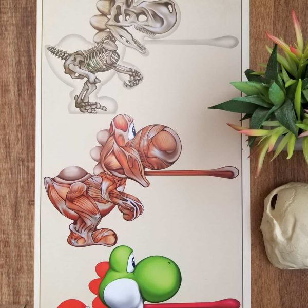 Yoshi Anatomy Poster