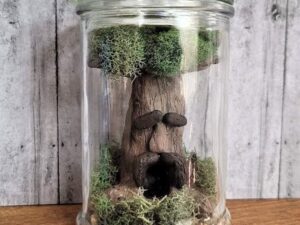 Zelda Great Deku Tree Terrarium