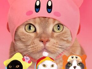 Kirby Cat Hat Set