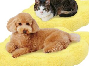 Dragon Ball Nimbus Pet Cushion