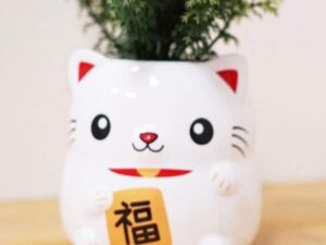 Lucky Cat Planter