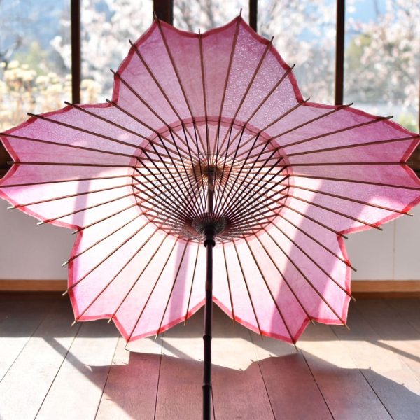 Wagasa Cherry Blossom Japanese Parasol