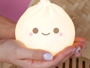 Dumpling Light