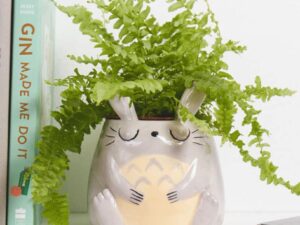 My Neighbor Totoro Planter