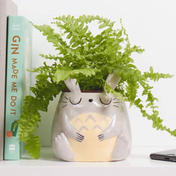 My Neighbor Totoro Planter