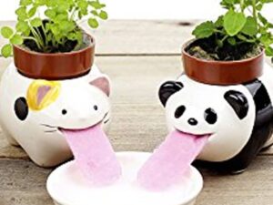 Self Watering Animal Planters