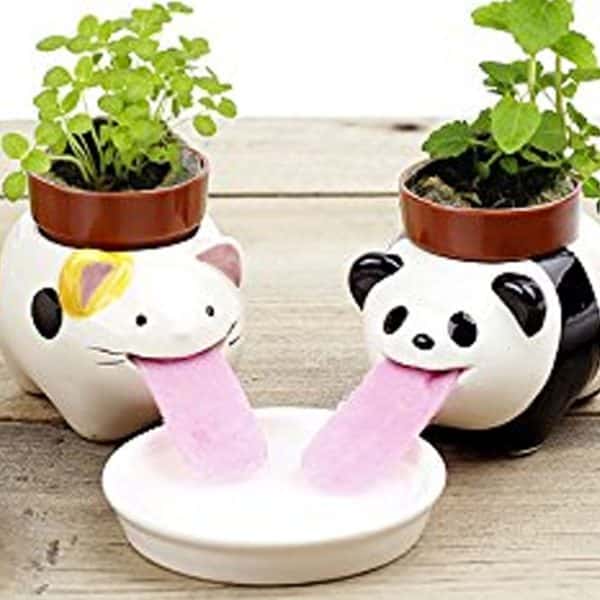 Self Watering Animal Planters