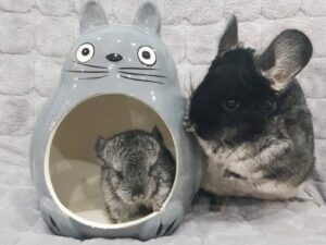 My Neighbor Totoro Pet Hideout