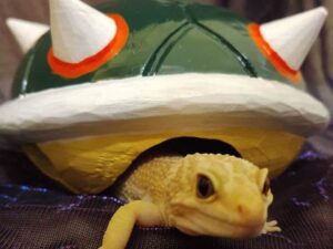 Super Mario Bowser Shell Pet Home