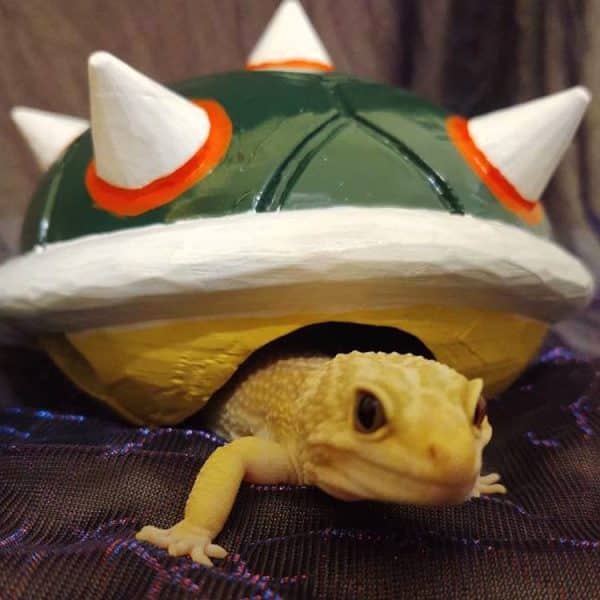 Super Mario Bowser Shell Pet Home