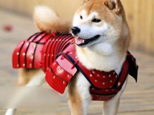 Samurai Pet Armor
