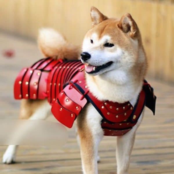 Samurai Pet Armor