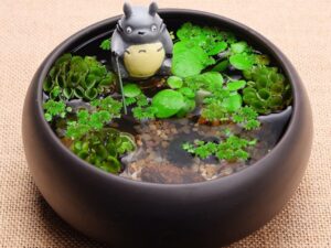 My Neighbor Totoro Terrarium Kit