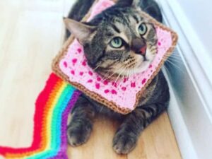Nyan Cat Costume