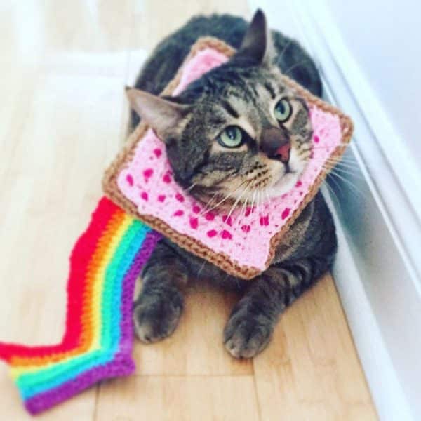 Nyan Cat Costume