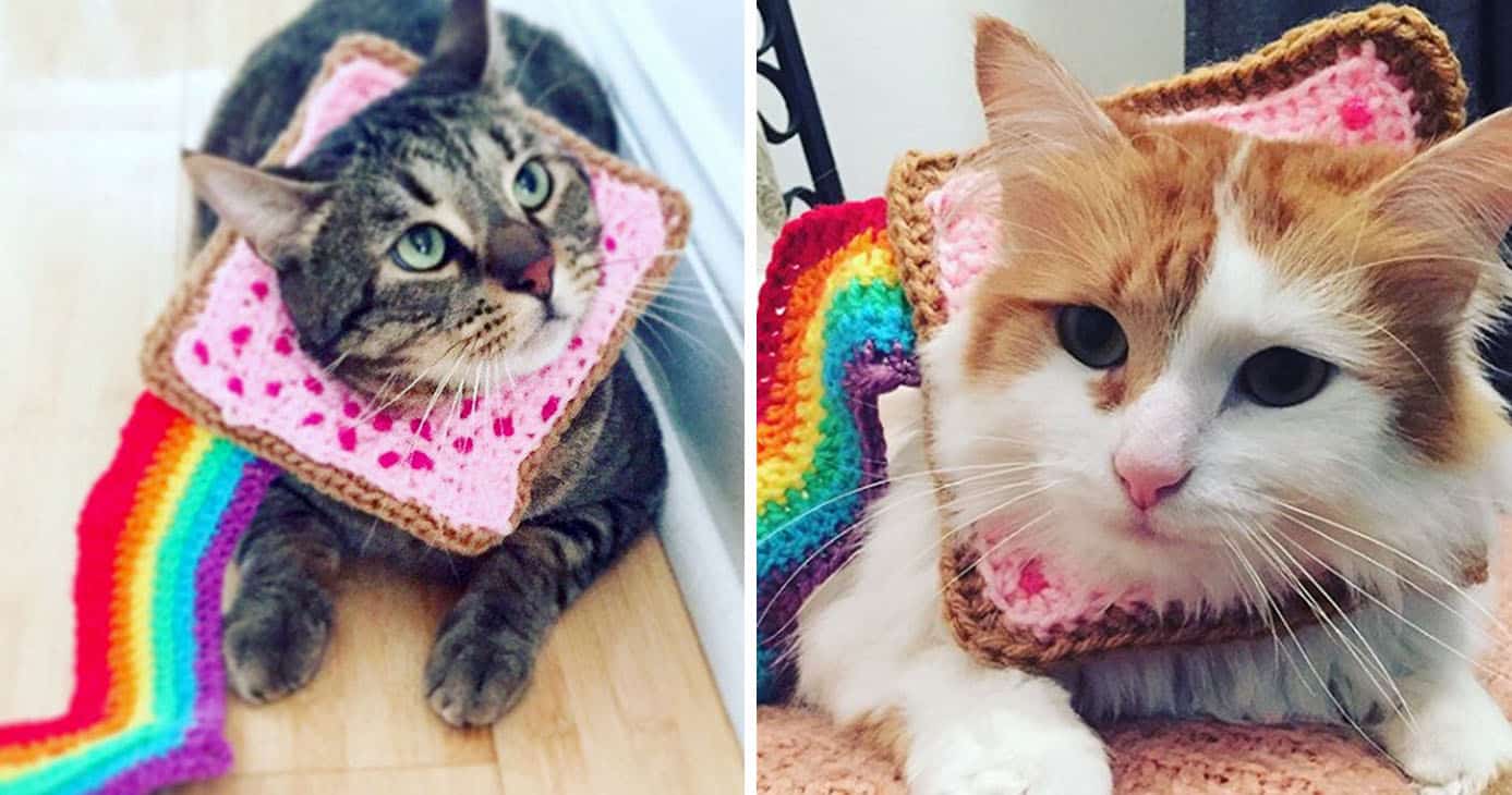 Nyan Cat Costume