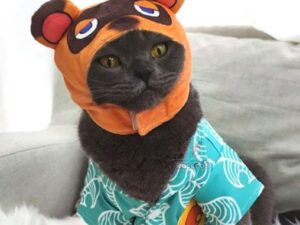 Animal Crossing Cat Costumes