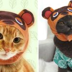 Animal Crossing Cat Costumes
