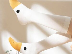 Untitled Goose Socks