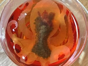 Octopus Tea Bag