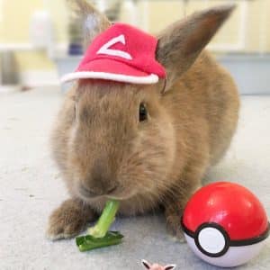 Rabbit Pokemon Hat