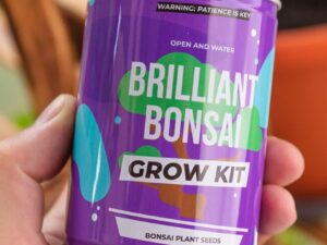 Bonsai Grow Kit
