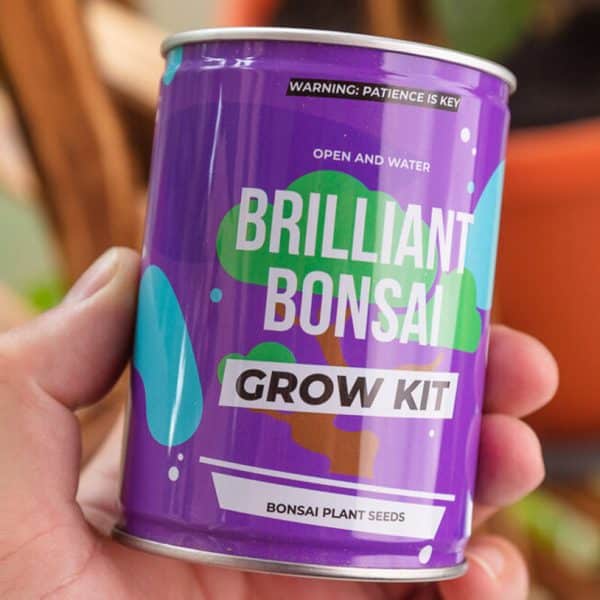 Bonsai Grow Kit