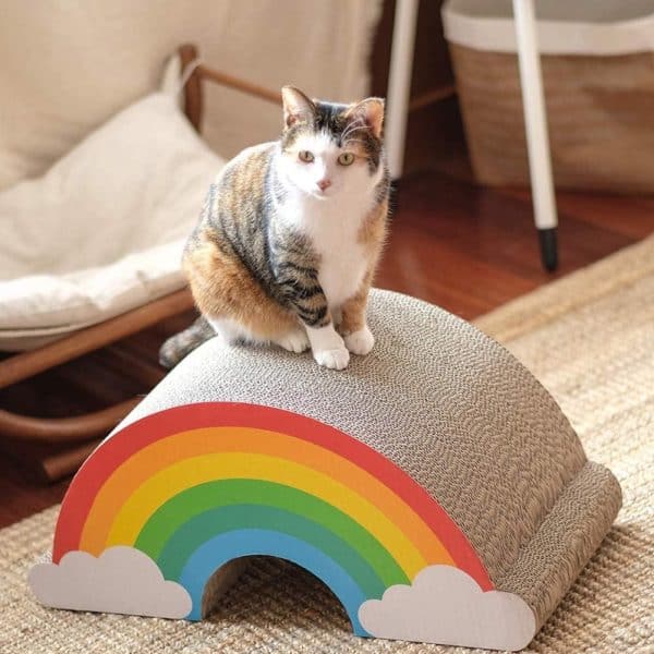 Rainbow Cat Scratcher