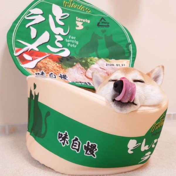 Ramen Pet Beds