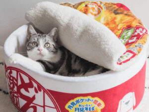 Ramen Noodle Pet Beds
