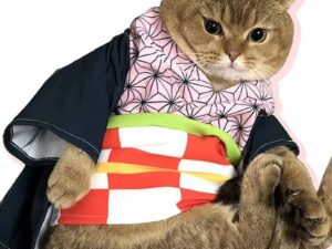 Demon Slayer Cat Costumes