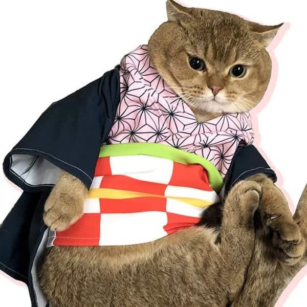 Demon Slayer Cat Costumes