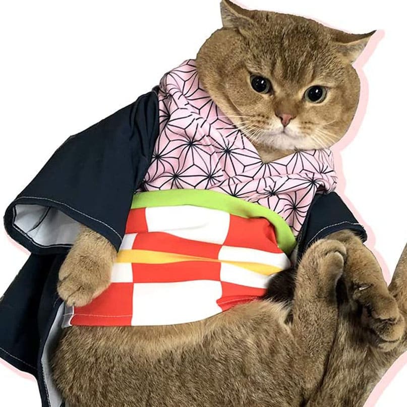 Anime Cat Costume - Shop Online - Etsy