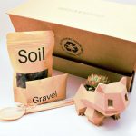 Bulbasaur Planter Gift Box