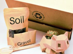 Bulbasaur Planter Gift Box