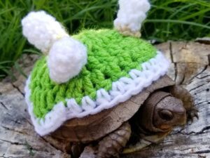Super Mario Koopa Tortoise Outfit
