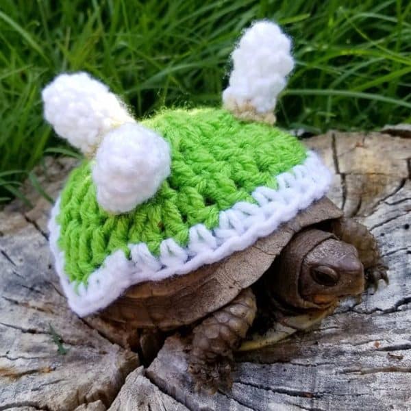 Super Mario Koopa Tortoise Outfit