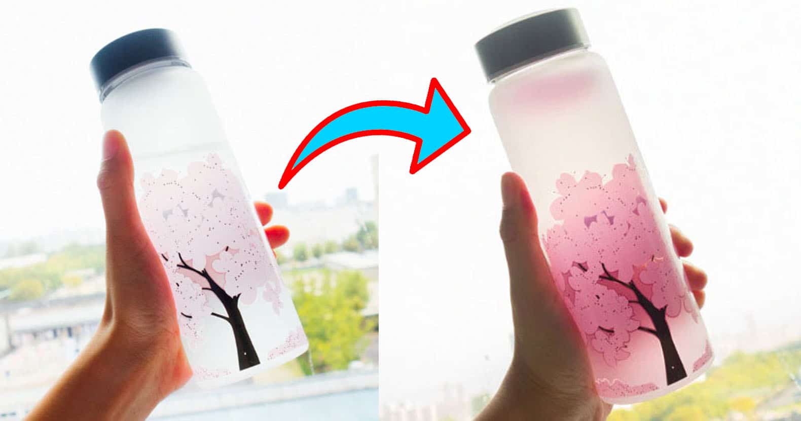 Color Changing Cherry Blossom Bottle