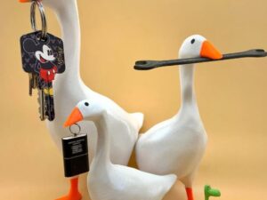 Magnetic Untitled Goose