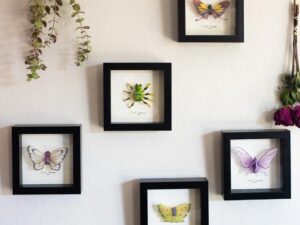 Pokemon Taxidermy Shadow Boxes