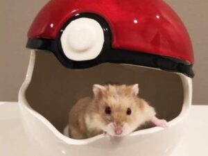 Pokeball Pet Hideout Home