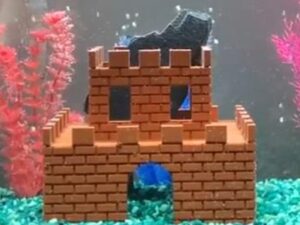 Super Mario Bros Aquarium Castle