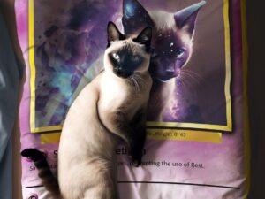 Custom Pet Pokemon Card Blankets