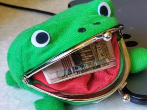 Naruto Frog Purse