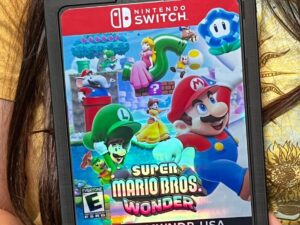 Giant Nintendo Switch Cartridges