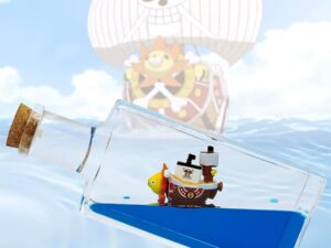 One Piece Ship In A Bottle