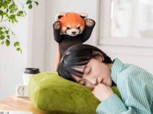 Threatening Red Panda Cushion