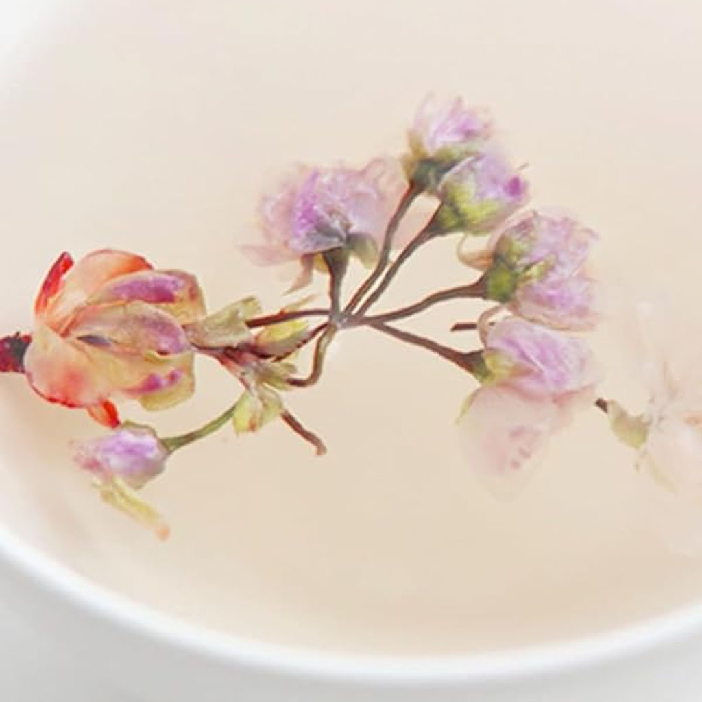 Cherry Blossom Tea